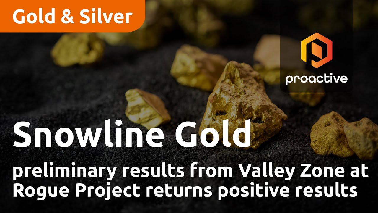 Snowline Gold preliminary results from Valley Zone at Rogue Project returns positive results