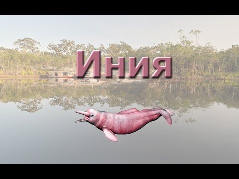 Русская Рыбалка 3.99 Иния