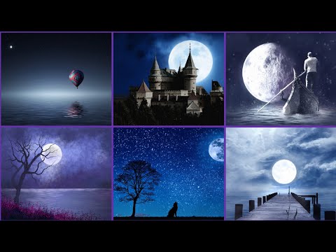 Wonderful moonlight night pictures.