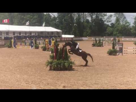 Windekind II - Jr/Am 1.10 Power & Speed - Angelstone Tournaments June 12 2016