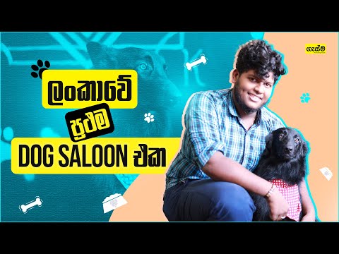 ලංකාවේ ප්‍රථම dog saloon එක