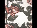 Tindersticks - Walking - Instrumental