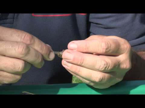 Part 16 Angling Basics with Shakespeare: Starting Coarse Fishing - Method Feeder on Lakes