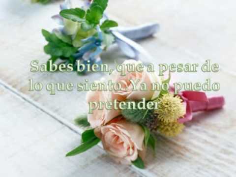 para ti mery-elegiste perder