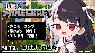 【 Minecraft 】#12　カエルコンプ続➡ 敵modコンプ ➡エンドラ復活！儀【 夜見れな / にじさんじ 】