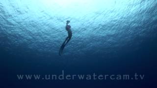 Endless - an ode to the oceans- orca diving centers
