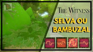 THE WITNESS - O LASER DA SELVA (BAMBUZAL) - Gameplay Portugues BR - PS4 - #11