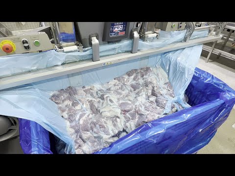 YouTube video: Bulk beef vacuum packaging in Dolav with temperature tracking