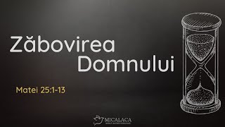 Daniel Vășcan - Zăbovirea Domnului