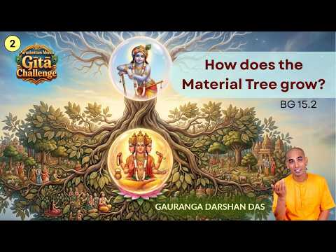 Purushottama Yoga #2 | How does the Material Tree grow? | BG 15.2 | Gauranga Darshan Das