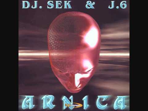 DJ Sek & DJ Pont 6   Arnika