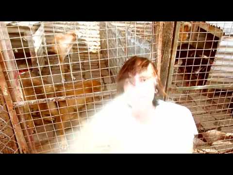 BLITTO - INVENCIBLE - Video clip Official  HQ