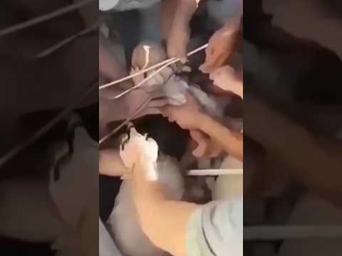 Baby rescued from rubble after Colombian earthquake