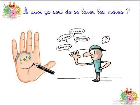 L'hygiène - CP
