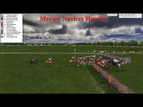 NH WK11 R15 Mersey Novices Hurdle