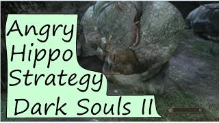 Dark Souls 2: Ogre Hippo Melee Strategy Guide