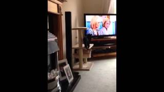 George the cat strikes again!