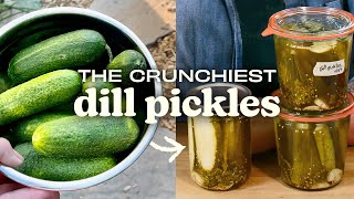 Canning pickles for beginners: 6 secrets to keep them crunchy!