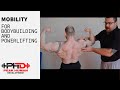 Mobility for Bodybuilding & Powerlifting: Wall Slides