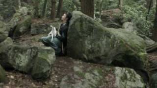 In the Wake of Giants: The Joy, The Sorrow