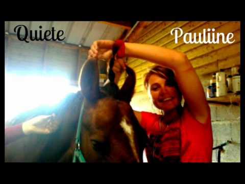 download lagu mp3 mp4 Ecurie La Cravache, download lagu Ecurie La Cravache gratis, unduh video klip Ecurie La Cravache