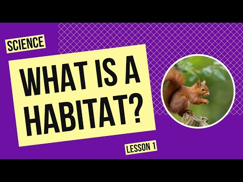 What is a Habitat? | Science Lesson