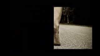 Vanessa Carlton Sway Lyrics