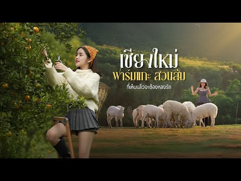 คลิกเพื่อดูคลิปวิดีโอ