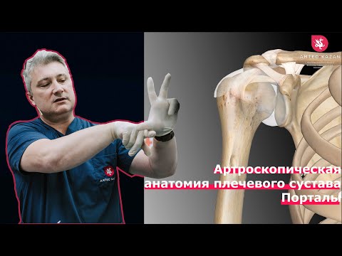 Артроскопическая анатомия плечевого сустава. Порталы.