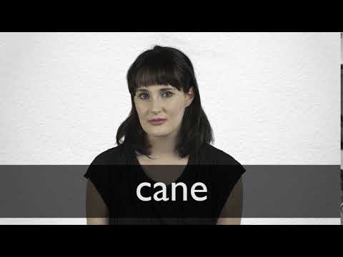 How to pronounce CANE in British English
