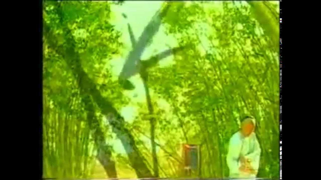 Doomed to Oblivion (Theme Song 2002) | 難得糊塗 - 王喜 : TVB 《鄭板橋》
