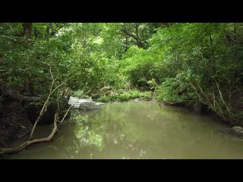 🌿 Se vende finca en Bagaces, Guanacaste 🌿