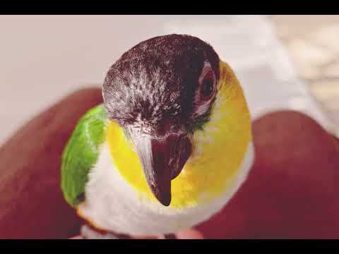 少しダークな曲作曲します イメージ1