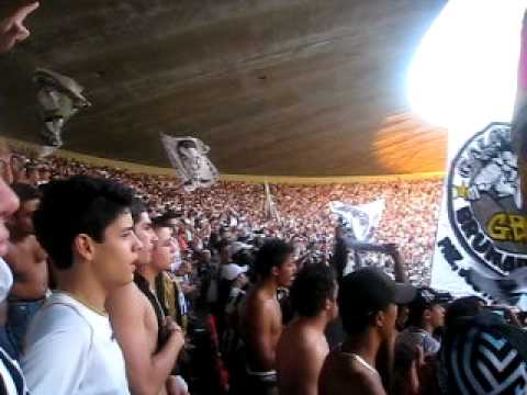 galoucura - beth carvalho