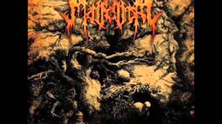 Malfeitor- Incubus