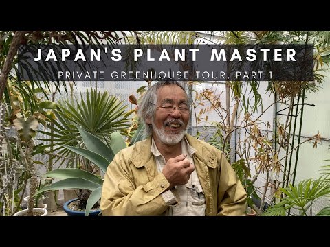 , title : 'Kunzo, Japan's Plant Master; Part 1 | Private Greenhouse Nursery Tour of Rare Houseplants | Ep 75'