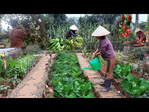 Full video of 20 days of gardening, growing vegetables, harvesting and cooking