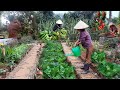 Full video of 20 days of gardening, growing vegetables, harvesting and cooking