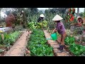 Full Video Of 20 Days Of Gardening Growing Vegetables Harvesting And Cooking