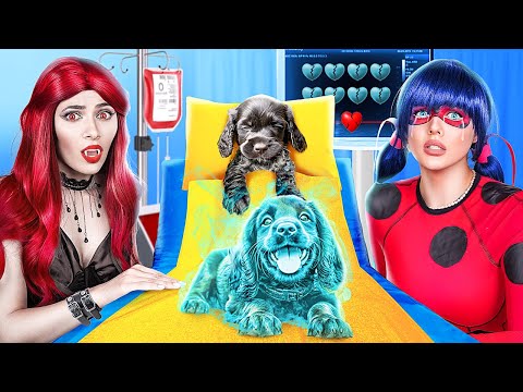 Coccinelle contre Vampire! Trucs Secrets pour Les Propriétaires D'animaux de Compagnie!