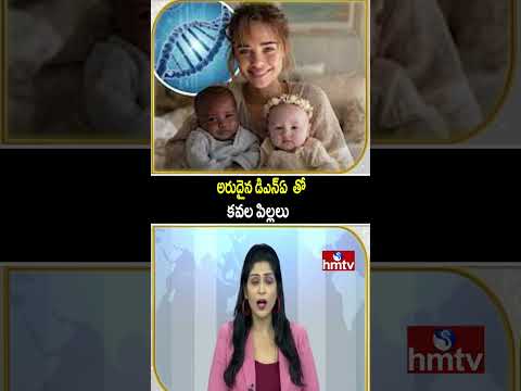 To The Point | అరుదైన డిఎన్ఏ  తో కవల పిల్లలు | hmtv