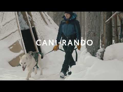 L'hiver dans le Grand Nord