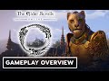 The Elder Scrolls Online - Official Welcome to The Elder Scrolls Online Overview Trailer
