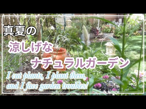旧暦: 2022 年 8 月の月を使ってガーデニングをするには?  庭園