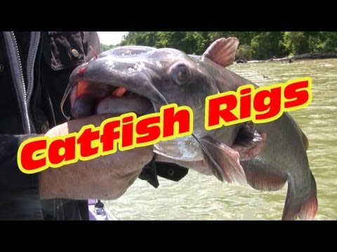 Two surefire catfishing rigs