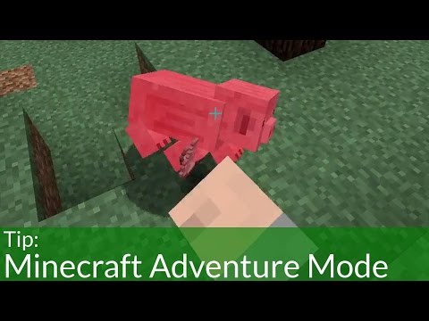 Minecraft Adventure (Game Mode) How To