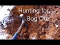 Hunting Bog Ore with Cody'sLab!