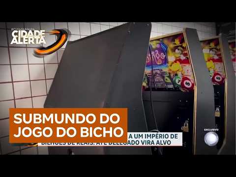 Exclusivo: investigação revela esquema bilionário do jogo do bicho no Paraná