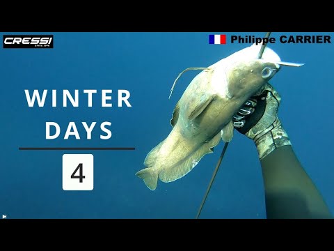 Winter Days 4 - Mediterranean spearfishing