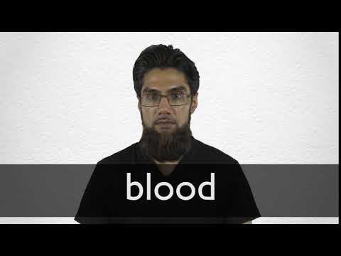 French Translation Of “Blood” | Collins English-French Dictionary
